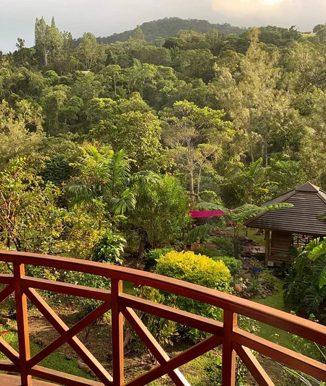 Vue depuis la terrasse du Bungalow Banian sur la vallée boisée de Farino