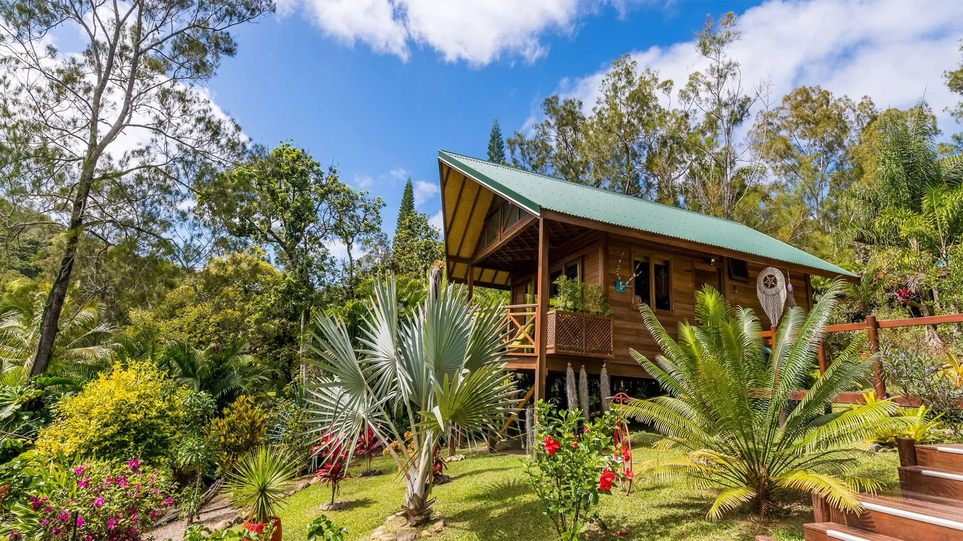 Oasis de Tendéa vue depuis le jardin, entre les palmiers et la forêt